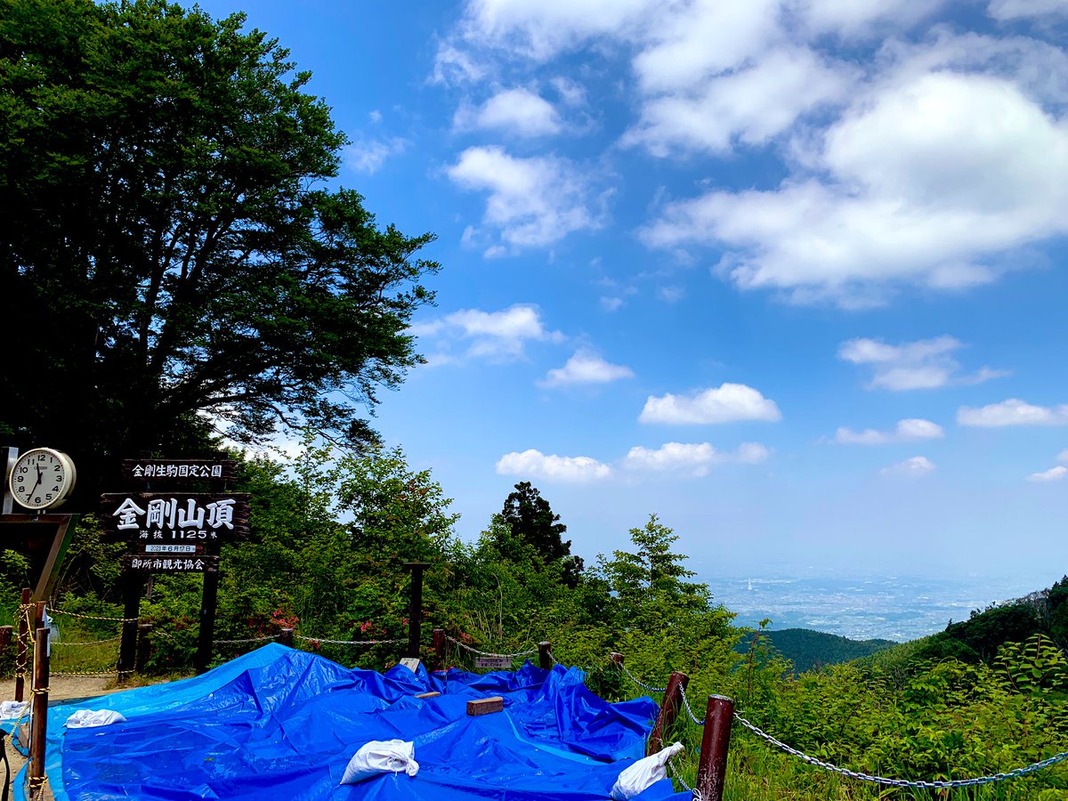 koikedao's tweet photo. 6月中旬の梅雨の晴れ間に1年振りの金剛山⛰️しんどいけど気持ち良かった!ちょうど良い距離
またちょこちょこ登るかぁ〜
#金剛山 #MtKongo #登山 https://t.co/rA72eLA0dM