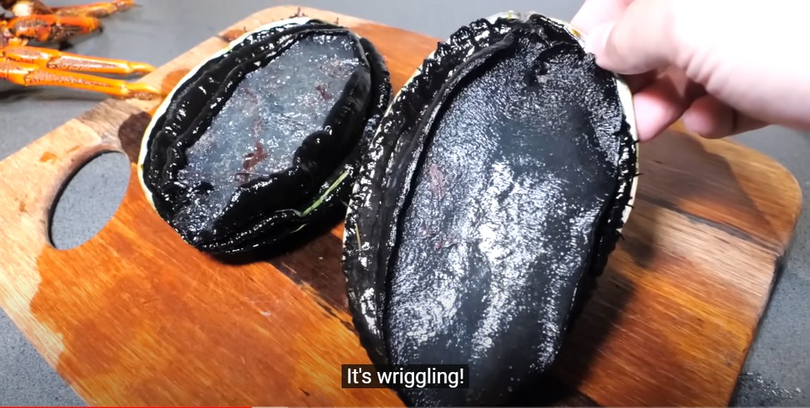 managermasaru's tweet photo. IT'S ALIVE! 

How do you say #abalone in your language?

Curious to see what black abalone tastes like? Click here >>> https://t.co/R2P0ySmgDF

#masaruspearfishing #spearfishing #fishing #fishinglife #abalone #blackabalone #NewZealand https://t.co/2ra3giQOz9