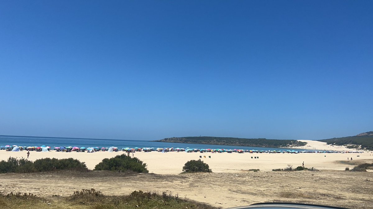 Muy chill, la mala vida🫣