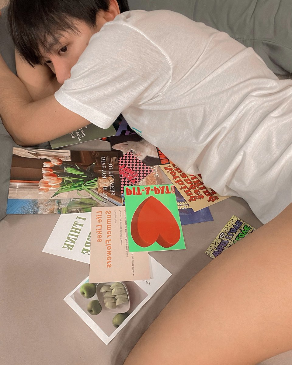 แอลปาก้า ˙ᵕ˙ ⋆˚🐾˖° tweet media