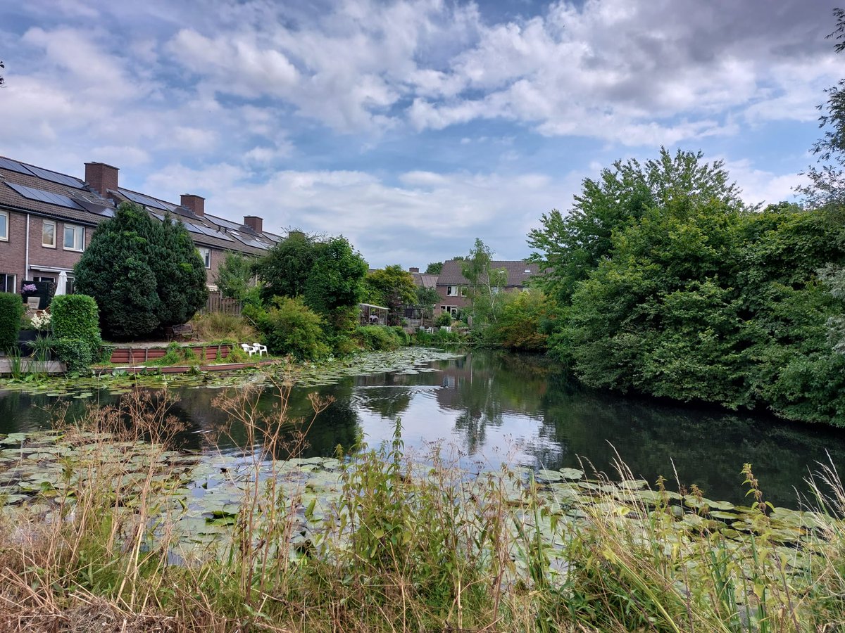 <a href="/AlmaFeenstra/">Alma Feenstra</a> (GroenLinks): “Wij staan voor bestaanszekerheid, wonen, groen &amp; dierenwelzijn. We willen gezond sociaal beleid, met gelijke kansen voor iedereen, en gezond woonbeleid, met oog voor klimaat &amp; duurzaamheid. We zetten in op dierenwelzijn en het vergroenen van de stad!”