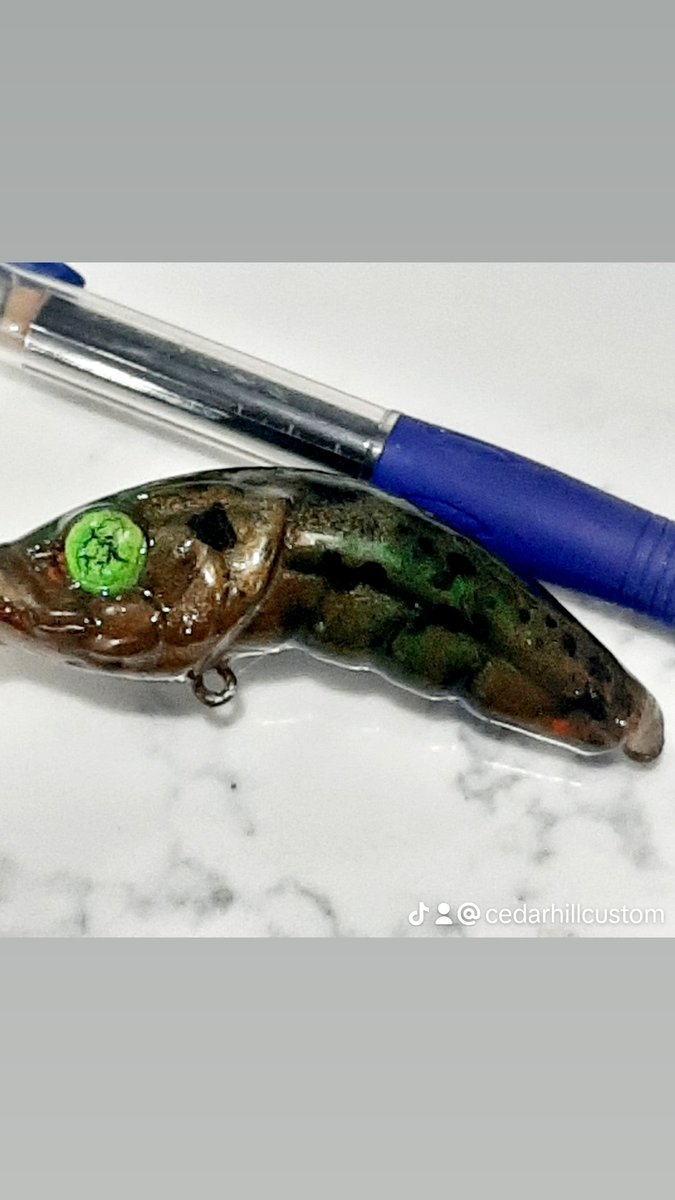 custom_cedar's tweet image. ;

##bassattitudefishing #smallmouthlures #custompaintedcrankbait #crankbait #liplesscrankbait #bucketmouth #bassfishinglife #bassfishinglures #smallmouthbass  #lures #crankbait#spinnerbait 
#BassFishing   #BassMaster   #FishTheBest #BassProTour #LargemouthBass
#fishing