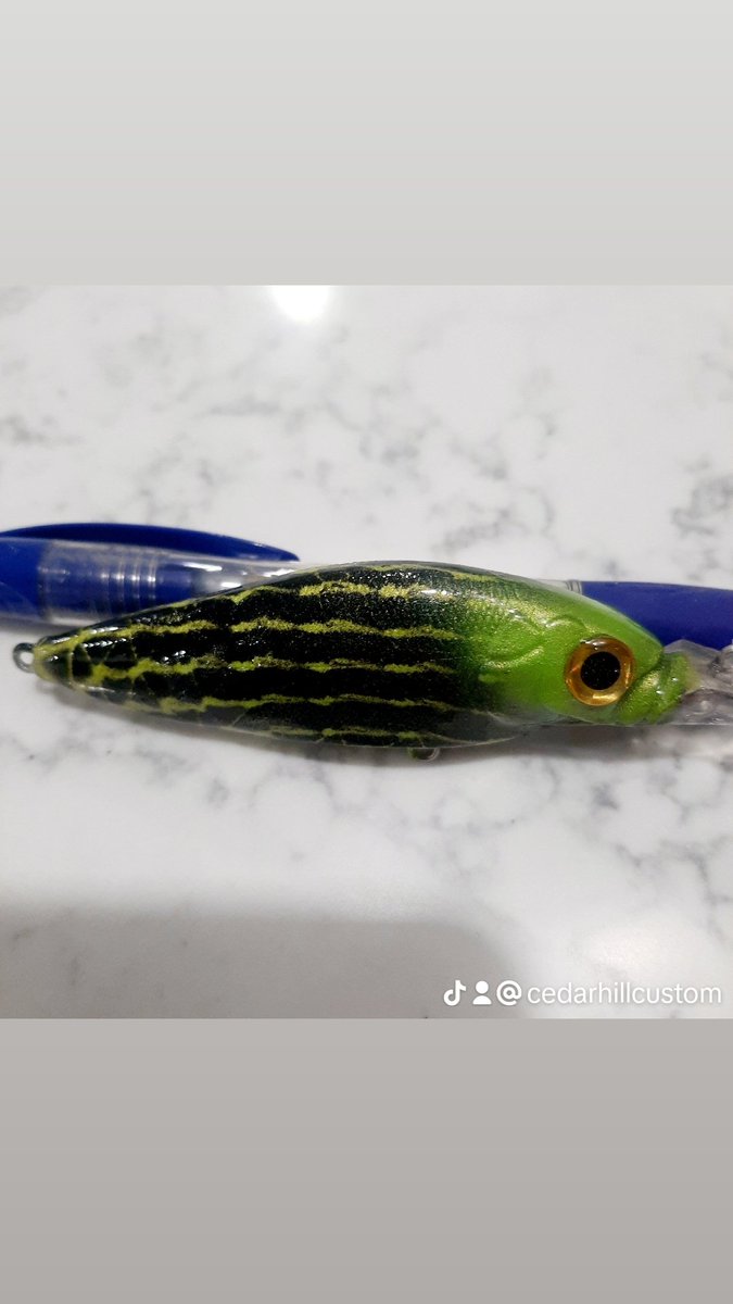 custom_cedar's tweet image. ;

##bassattitudefishing #smallmouthlures #custompaintedcrankbait #crankbait #liplesscrankbait #bucketmouth #bassfishinglife #bassfishinglures #smallmouthbass  #lures #crankbait#spinnerbait 
#BassFishing   #BassMaster   #FishTheBest #BassProTour #LargemouthBass
#fishinglife