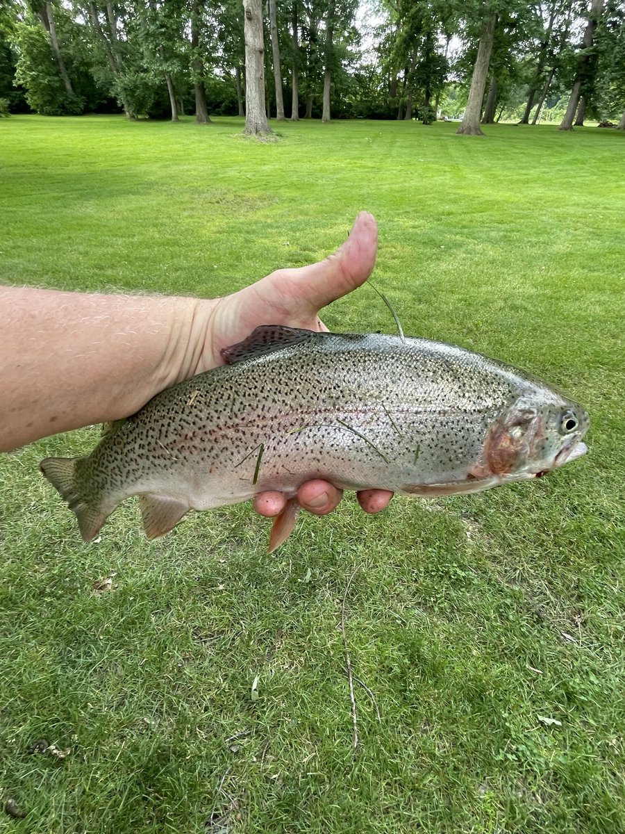 FishOnAFlyGuy's tweet image. It has been nearly a year and the doctors tell me that I can resume fly fishing in three weeks!!