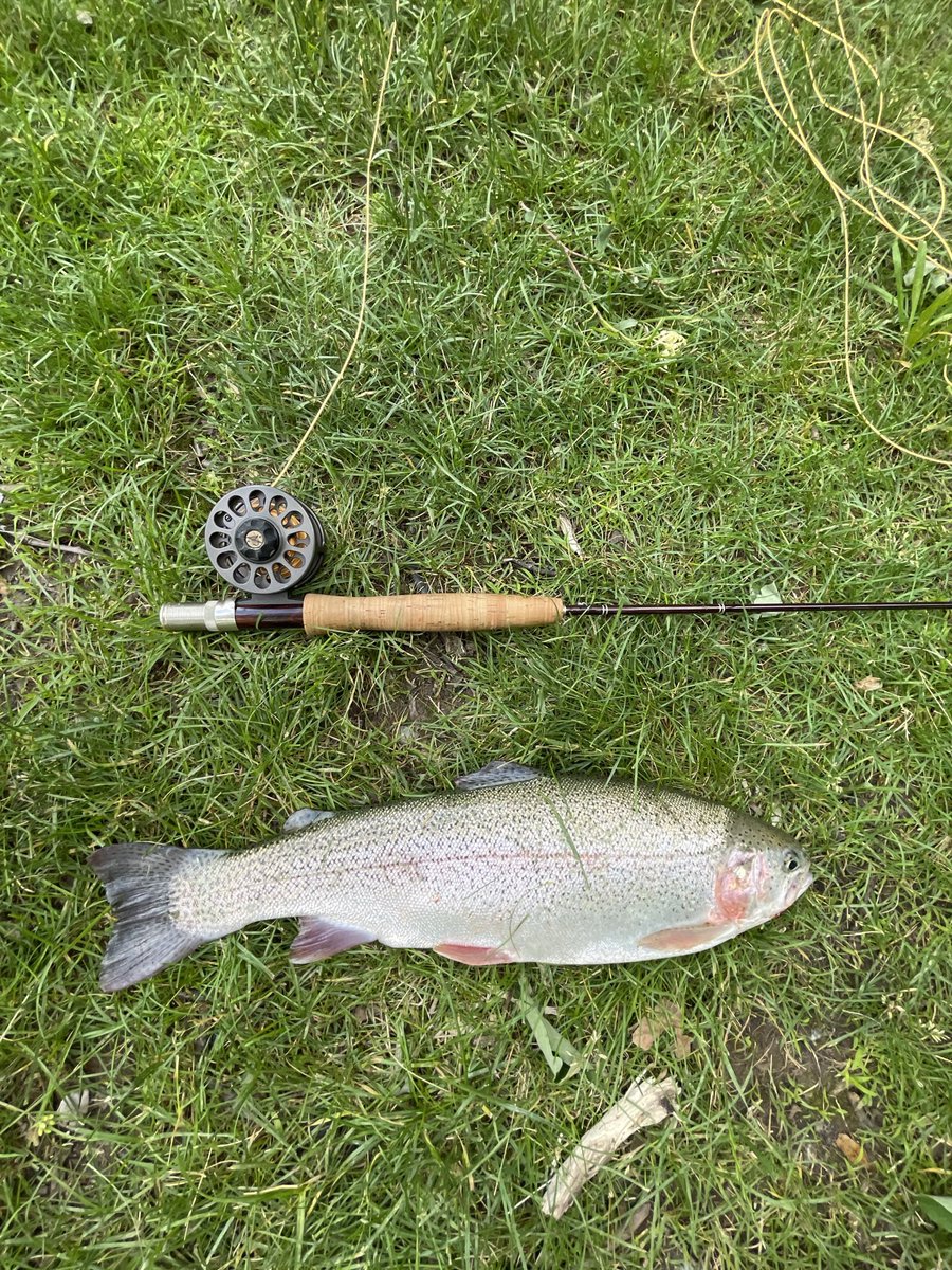 FishOnAFlyGuy's tweet image. It has been nearly a year and the doctors tell me that I can resume fly fishing in three weeks!!