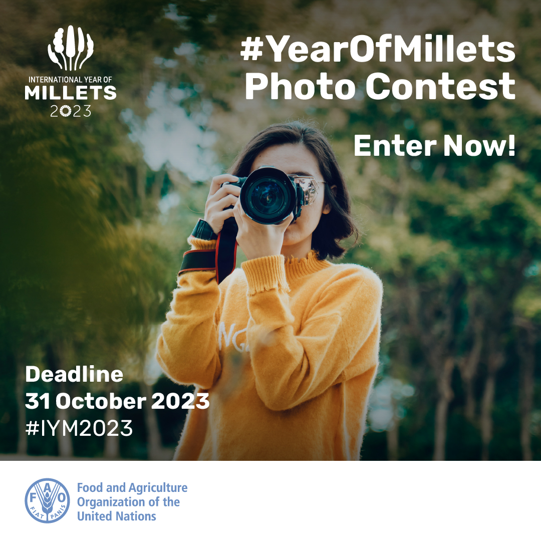 FAO's tweet photo. 📢 Are you a professional or amateur photographer, or simply passionate about millets?

📸🤳 Join the #YearOfMillets Photo Contest to help spread the word about the many benefits of millets!

ℹ️ How to participate &amp; more about the challenge 👉 https://t.co/LUmESRQn81

#IYM2023 https://t.co/mg1UJ0UKGj