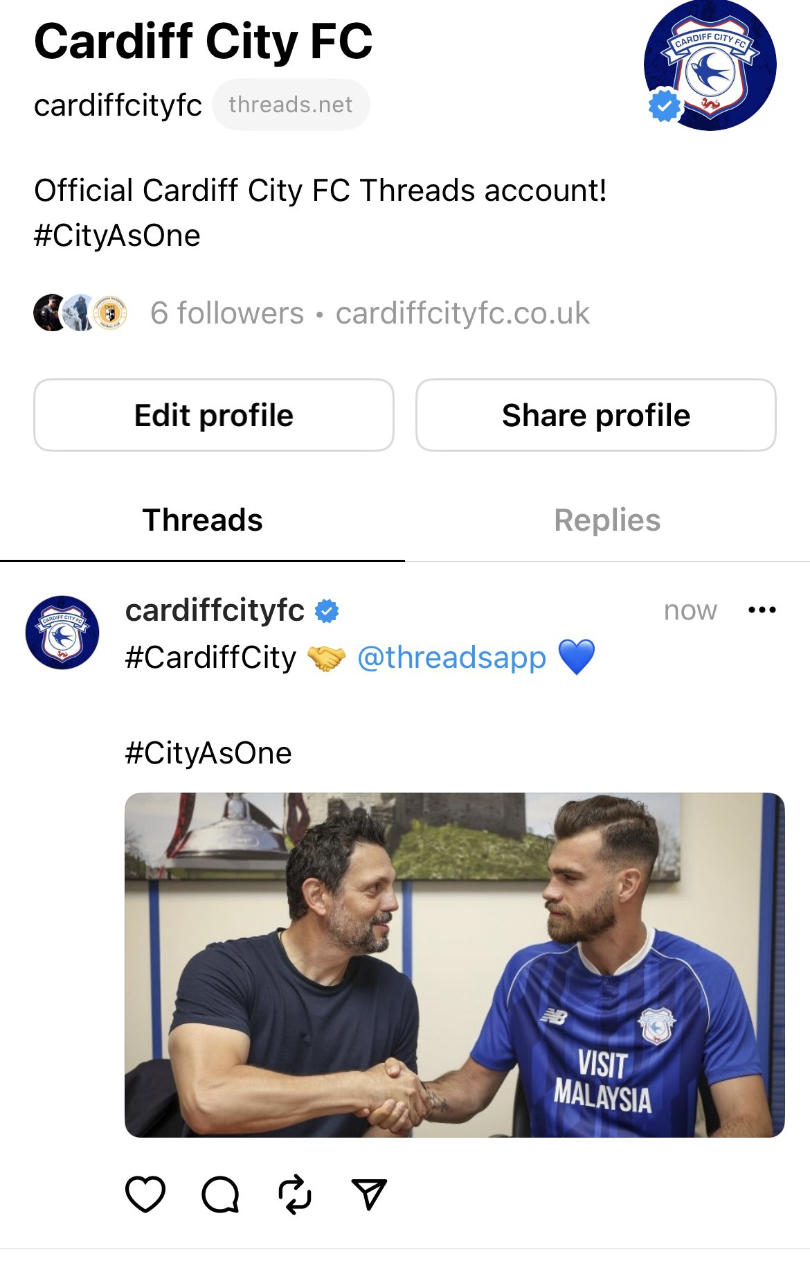 Cardiff City FC on X: Nobody enjoyed the view limits! 🙃 Join us on  Threads ➡️  (Yes, we'll still use Twitter as usual  👍) #CityAsOne  / X