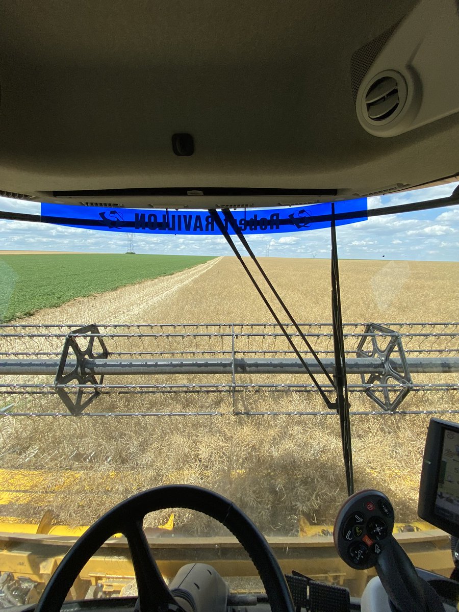 #zaza
On continue avec le #colza 🌻
Ça a l’air moins beau que l’année dernière… 🚜
<a href="/novagrain/">Novagrain</a> <a href="/Limagrain/">Limagrain</a> @NewHollandAgFr 
#Moisson2023