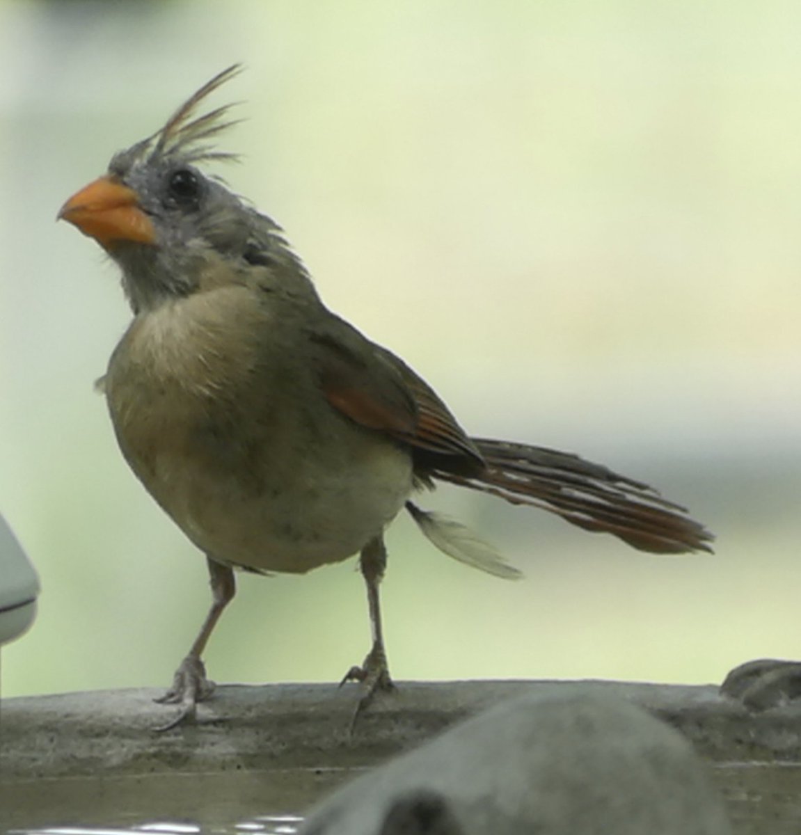 Mark Nau (@mark_nau) on Twitter photo 