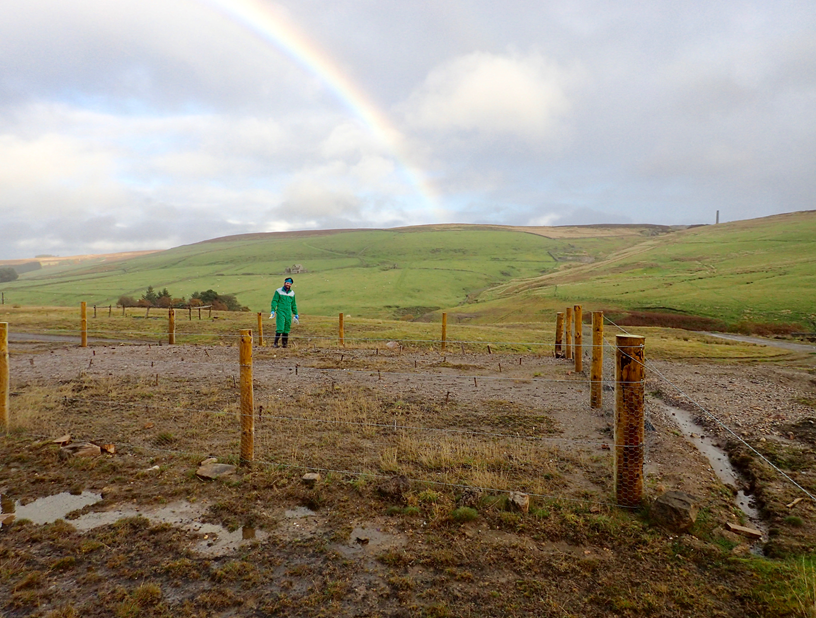 StrathImages's tweet photo. Exploiting nature itself, Strathclyde researchers are trialling soil amendment treatments, aiming to halt the spread of contamination from historic metal mining and restore the land: https://t.co/9MiG3QZjvd #StrathImages @bioregen @StrathCivEng #SoilConservationDay https://t.co/ZWYJih2IDy