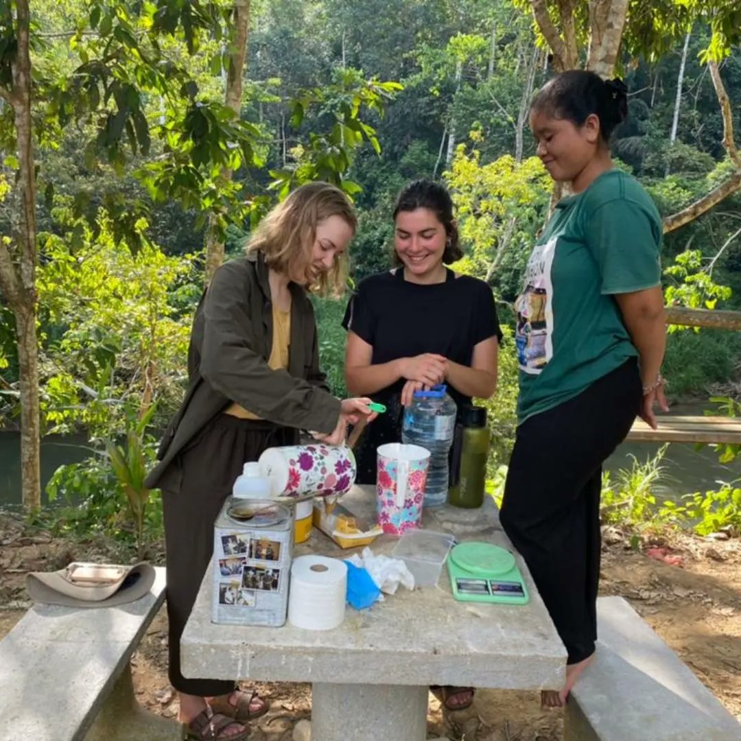 Gibbon Conservation Society tweet media