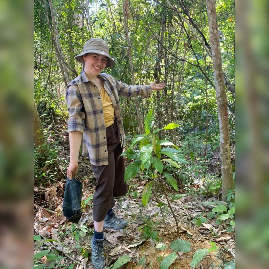 Gibbon Conservation Society tweet media