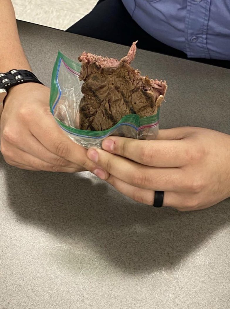 <a href="/GiftedTawk/">Julia's #STEAMing up Learning!</a> Pocket steak.