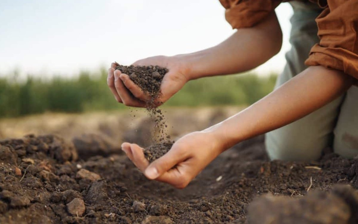 6⃣0⃣% of EU soils are affected by pollution, erosion, or other degradation.

The EU #MissionSoil aims to speed up the transition to healthy soils by 2030.

Read about the one-stop-shop led by <a href="/openlivinglabs/">ENoLL</a> and backed by EIT Climate-KIC and many others 👇
bit.ly/43QmU1m