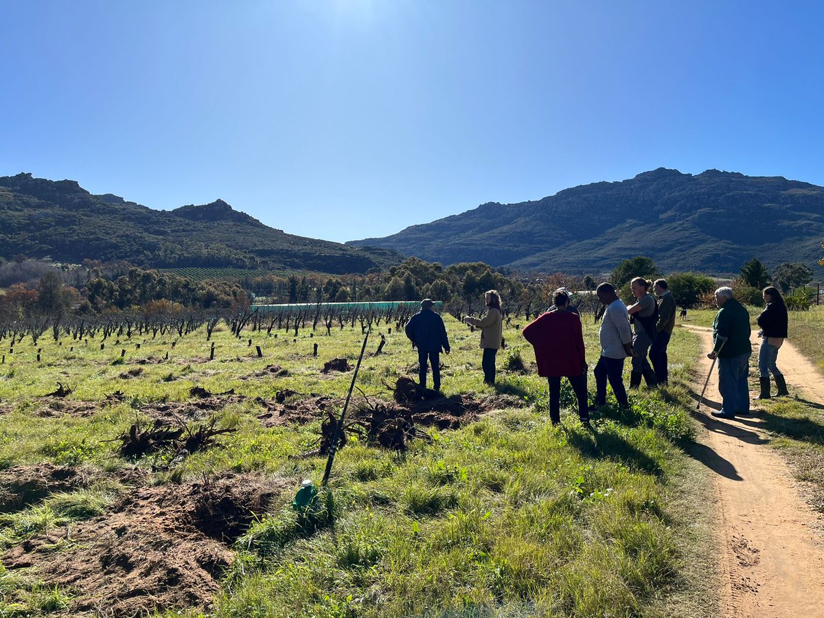 organic_zone's tweet photo. Last month, we attended Sababa Farm’s PGS farm visit in Piket-bo-berg, approximately 2hrs north of #CapeTown 👨‍🌾🚜 
Read more here: https://t.co/MJpypf3SY7 
#KnowYourFarmer #PGSassessment #supportlocal #CapeTown https://t.co/m4VdlpoMen