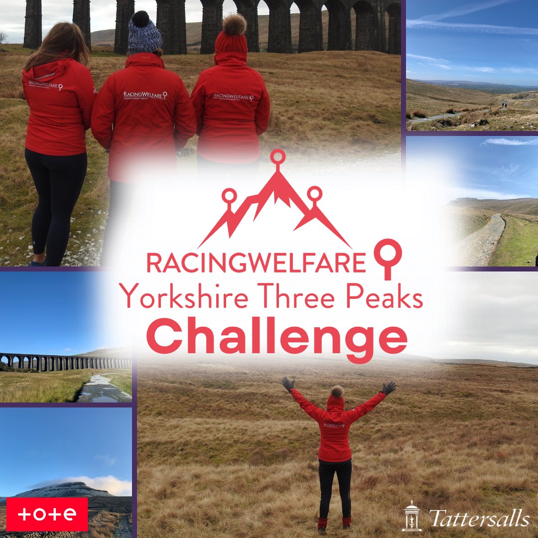 More than 100 OF Racing's people  to scale The Yorkshire Three Peaks this weekend!

To find out more about this epic challenge and how to donate to visit - racingwelfare.co.uk/more-than-100-…