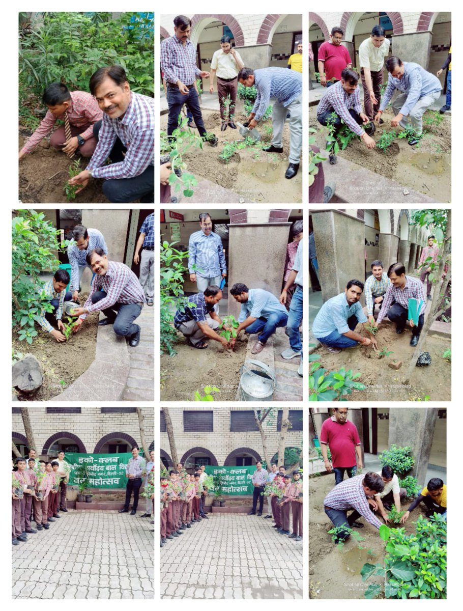 rsbv_wvn's tweet photo. Plantation activities on occasion of Hariyali Utsav at Rsbv, West Vinod Nagar, DelhiUnder the guidance of Principal Dr. L K Dubey and under supervision of eco club incharge Sh. Goverdhan Pandey TGT science @AtishiAAP @gupta_iitdelhi @Dir_Education @DrLKDubey44 https://t.co/XYZOQJ2U7t