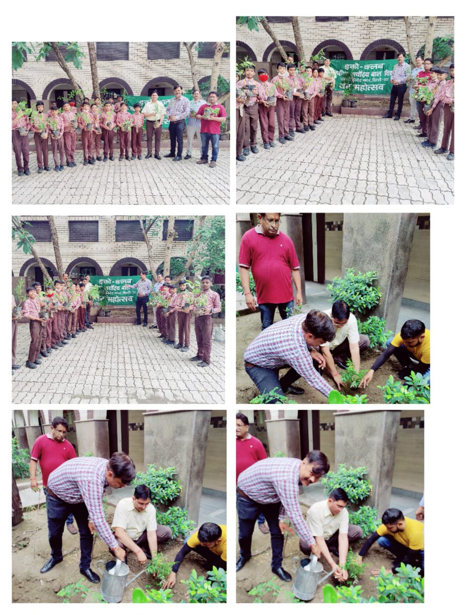 rsbv_wvn's tweet photo. Plantation activities on occasion of Hariyali Utsav at Rsbv, West Vinod Nagar, DelhiUnder the guidance of Principal Dr. L K Dubey and under supervision of eco club incharge Sh. Goverdhan Pandey TGT science @AtishiAAP @gupta_iitdelhi @Dir_Education @DrLKDubey44 https://t.co/XYZOQJ2U7t