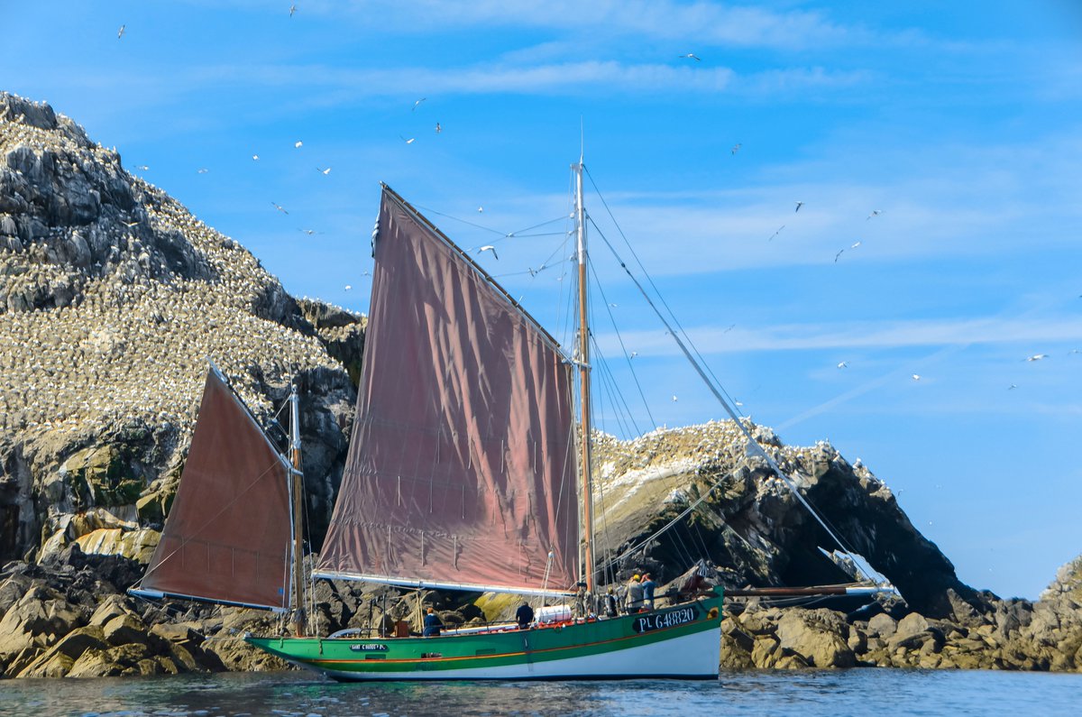 lonelyplanetfr's tweet photo. 🇫🇷 La #Bretagne est un des #paradis de l’#écotourisme où l'on peut vivre des #expériences plus #authentiques les unes que les autres. Voici notre sélection pour des #vacances bretonnes plus vertes que #nature !🌿
➡️ https://t.co/KB8XeNqK94 https://t.co/qQYzAp51Da