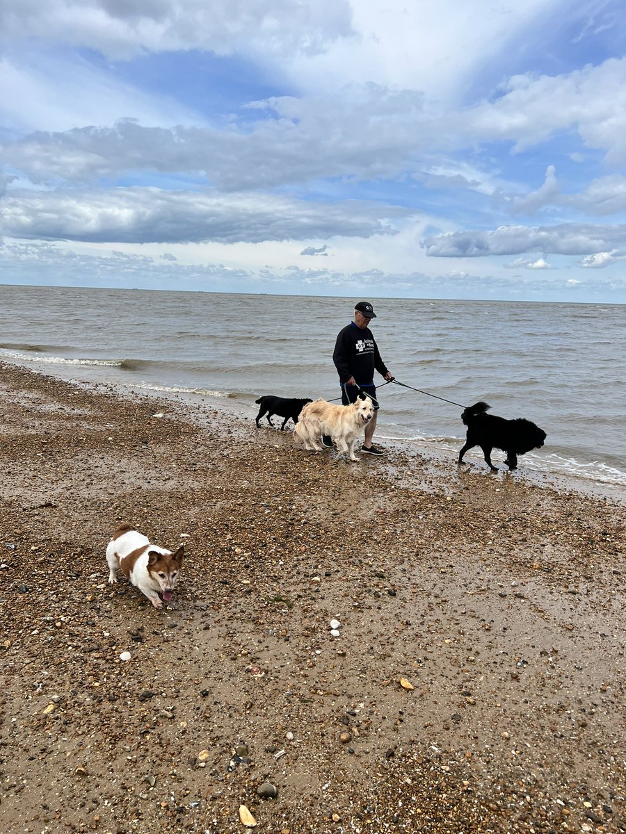 AINAnnieM's tweet photo. Dog beach days are the best days ♥️🐶🐾 @MarriottRoy 
#Oldhunstantonbeach https://t.co/9PmuBahSla