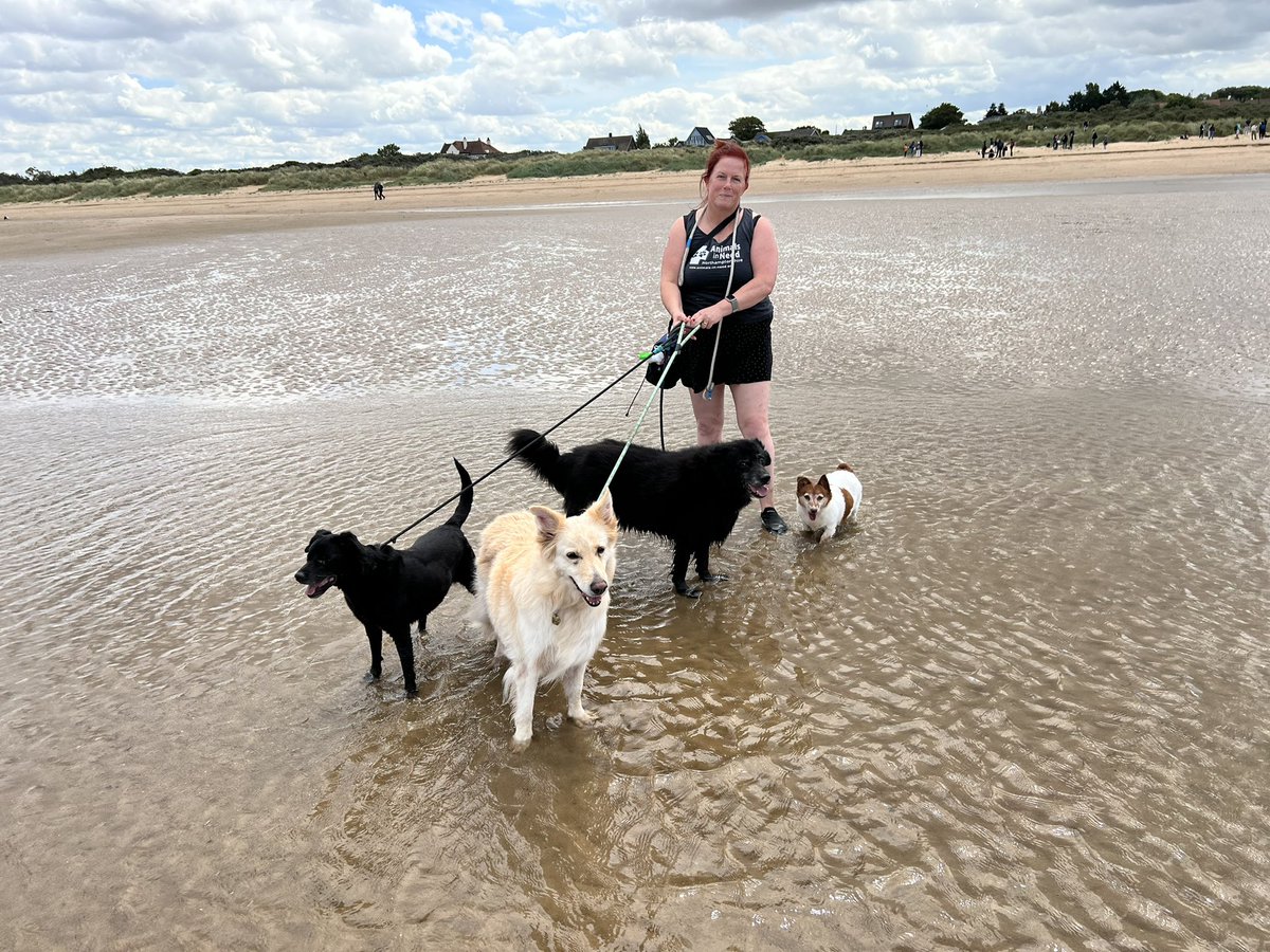 AINAnnieM's tweet photo. Dog beach days are the best days ♥️🐶🐾 @MarriottRoy 
#Oldhunstantonbeach https://t.co/9PmuBahSla