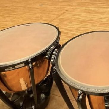 ティンパニの「お！音程取れるやんけ！」と言っても、最高音はヘッドが張ってる状態なのでテンテンッて感じの音、最低音はボヨンボヨンって感じです🐨
真ん中の音はおいしいです🐨
みなさんはどのように使い分けていますか？🐨🌱