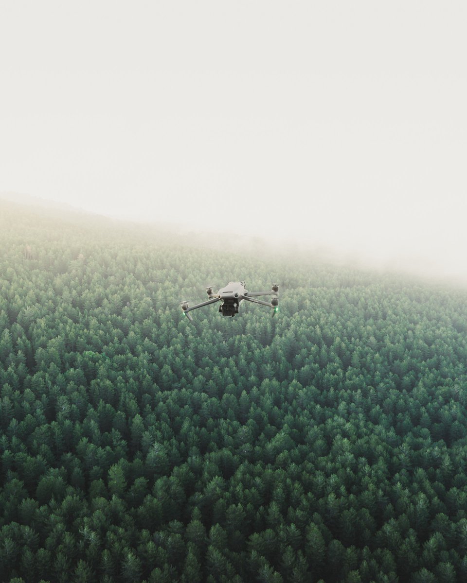 DJIGlobal's tweet photo. Out exploring the woods 🚁

📸: @andreacaruso_, #DJIMavic3Pro, #SkyPixel https://t.co/aV2Tju2hM2