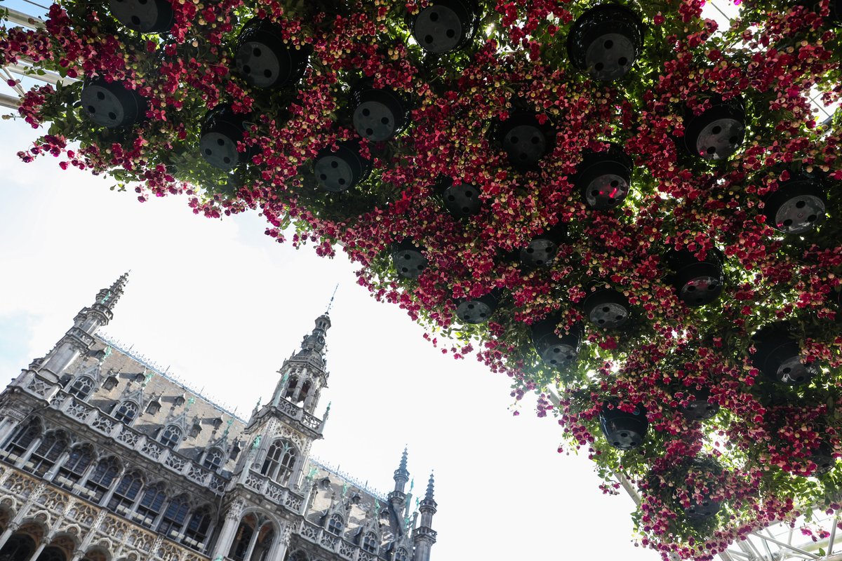 Belga_English's tweet image. Belgian surrealism at the heart of the fifth edition of Flowertime in Brussels prez.ly/ME2c
#Belga #Flowertime #Brussels #Flowers