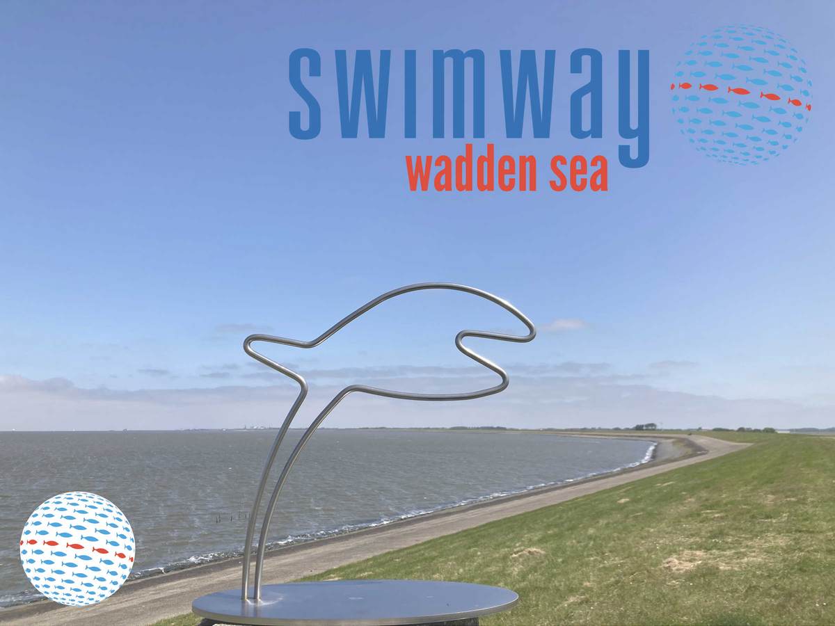 The second Trilateral Swimway Conference is now officially confirmed to take place 17-19 April 2024 in Groningen (NL)! 🐟 🌊 🐟 🌊 🐟 Get on the mailing list waddenacademie.nl/organisatie/sy… 📸Waddenacademie