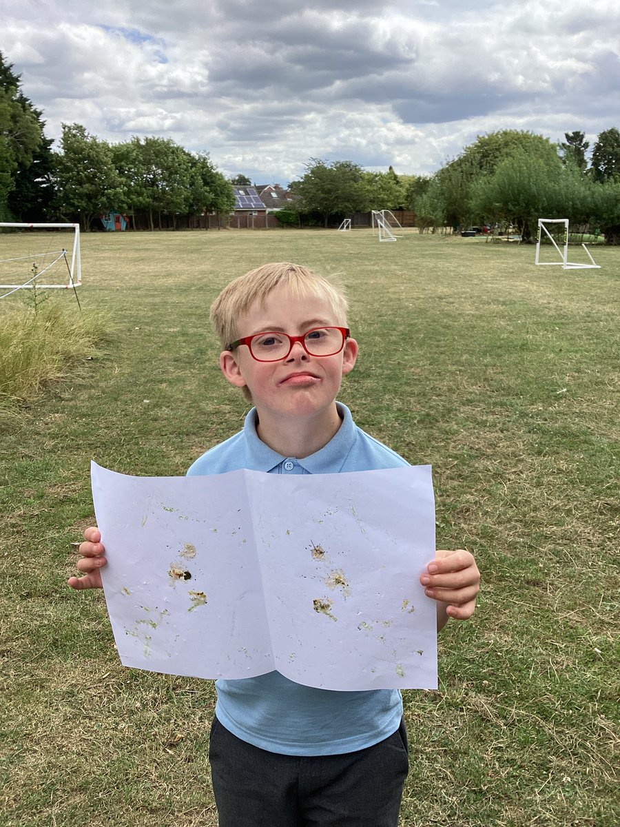 MrsGEpps's tweet photo. Our Year 5s have thoroughly enjoyed being part of 30 Days Wild. Today we learnt about Hapa-Zome and then had a go creating our own. Our results were quite beautiful. @bastonceprimary @WildlifeTrusts https://t.co/GpqhyGNUEL
