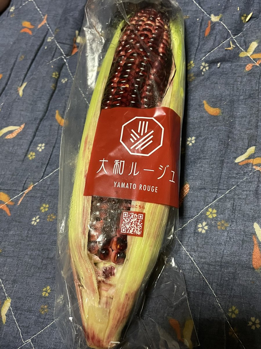とうもろこしだ！ https://t.co/O5rzo139wM