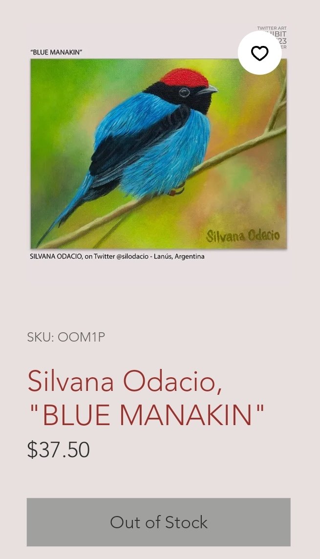 Silvana Odacio tweet media