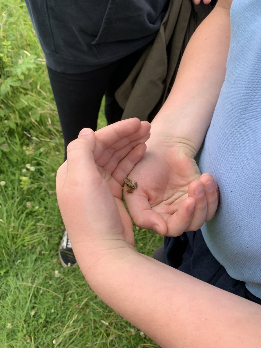 sbps_class6G's tweet photo. 6G had a wonderful time on the farm walk, with Farmer Adam, exploring and learning all about the animals, wildlife and landscape 💚 https://t.co/a6XUBgwiPY