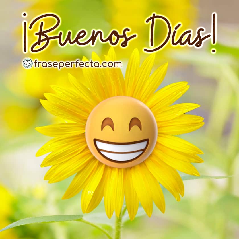 Jueves casi Viernes...
Hoy nos irá bien a tod@s!! 🧿✨😎