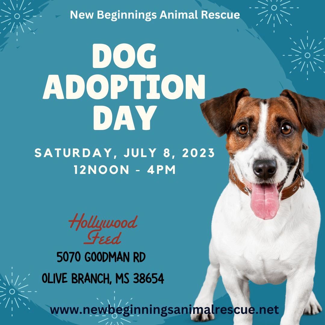 NewBeginningsMS's tweet photo. Come visit us at HOLLYWOOD FEED in Olive Branch, MS to see some adorable puppies and dogs waiting for their New Beginnings. 

Hollywood Feed
5070 Goodman Rd
Olive Branch, MS 38654

https://t.co/JgxgPcWJ6S https://t.co/BeuOamBBST
