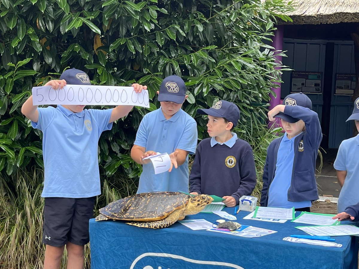 StBernardsep's tweet photo. What a fantastic day at the Chester Zoo Takeover Day. Our children educated the visitors on how they can make changes to avoid using single use plastic. We got so many plastic pledges. @LearnatCZ @LearnatCZ @sascampaigns https://t.co/8m3aJ5A2o8