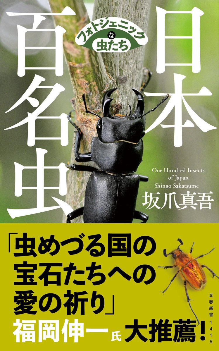 gatakon1130's tweet image. 7月20日に『日本百名虫』というだいそれたタイトルの新書を出します。
深田久弥の『日本百名山』になぞらえて「品格・歴史・個性」を兼ね備えた日本の美虫・奇虫・珍虫100種を2冊に分けて紹介する内容です。
採集者目線強めで書いたので、ご笑覧頂けると有り難いです🙇♂️
amazon.co.jp/dp/4166614150