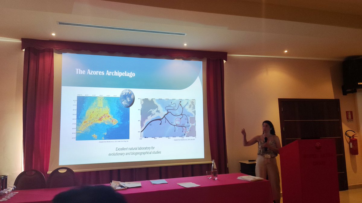 Go with the flow. Some of the very few talks on island marine biotas by @laracbaptista and Lívia Sinigaglia. Interesting stuff #islandbiology2023