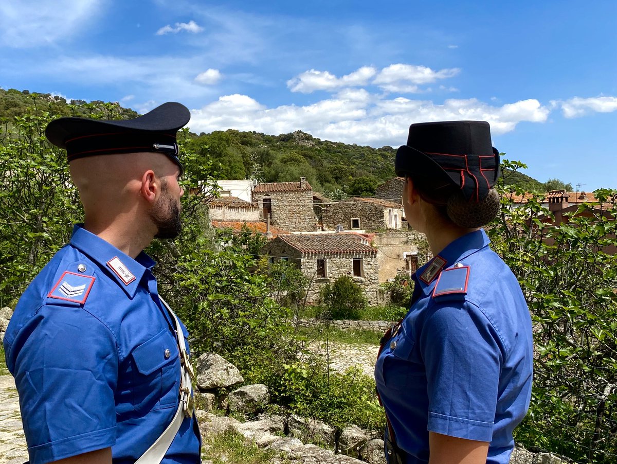 Buongiorno da Lollove (NU)
#Carabinieri #PossiamoAiutarvi #ForzeArmate #Difesa #13luglio