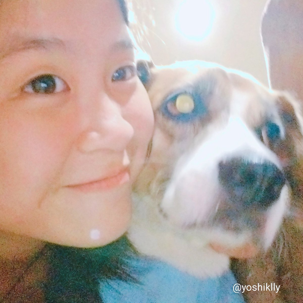 `•with our pet🐱🐶•`
#TMSD #TreasureMakerSelcaDay
#TeumeSelcaDay #JUNKYU #준규 #TREASURE #트레저 
<a href="/treasuremembers/">TREASURE</a>