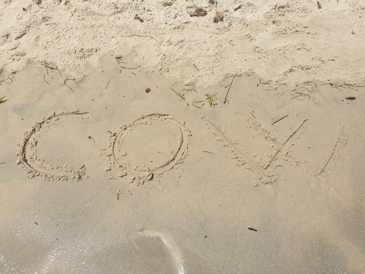 marme1985's tweet photo. Gm fam... from Tunisia with love ❤❤❤ #WeCowCow @Iamnotzed @POTUCOWS @AmeerNFTs @NFTGUYY @RONFTCommunity1 @NFT_GOD @xoxnoNFTs @nftkoosh @yourcryptodj @PepeVersX @kenwgmi @CowCowGOVT @HypeEth_ @MatthwNFT @3orovik @DrSoldmanGachs @SolJakey @beniaminmincu @eWildWest @joyut101 https://t.co/Cvz3KN30kG