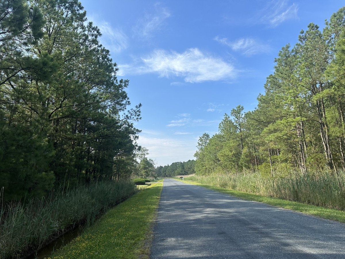 amyf's tweet photo. Morning run https://t.co/iHIVW4ffF0