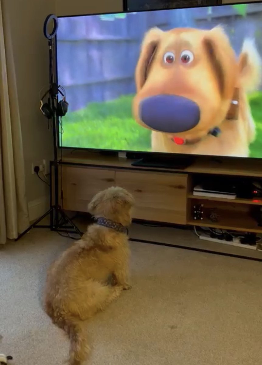 dublingrowndog's tweet photo. @mtm686 @JennferCanesten Damn I’m good looking.
A bit more serotonin for you. Me watching my cartoon persona… Dug.
#justrustythings https://t.co/UUcLNNq66s