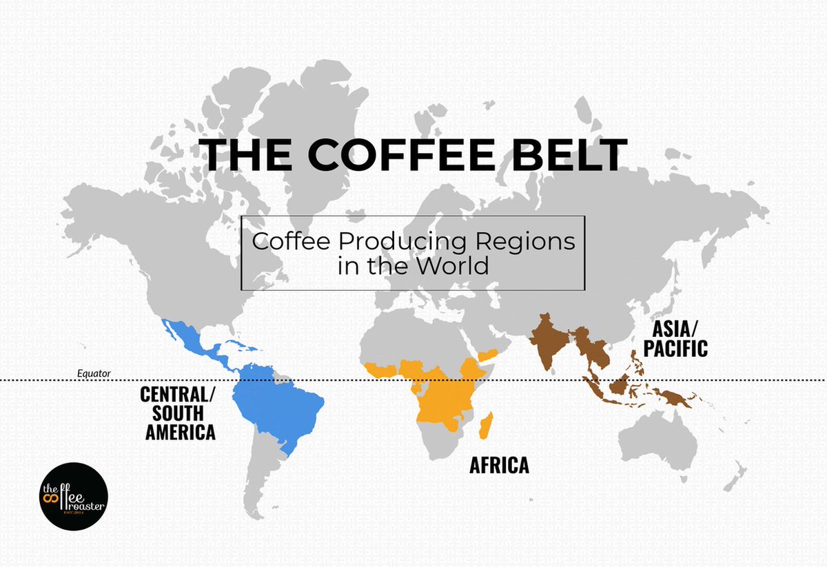 Cafe_beans_Elo's tweet photo. ----------The Coffee belt --------- 
Niet elke regio is geschikt voor koffieteelt.  
Als we alle landen in kaart brengen waar ze koffie maken, dan liggen ze allemaal  dicht bij de evenaar 🌎

Heb jij al eens een koffieplantage bezocht in 'the belt'? 
#coffeebelt #coffeefarm https://t.co/ivsXnmbUIF
