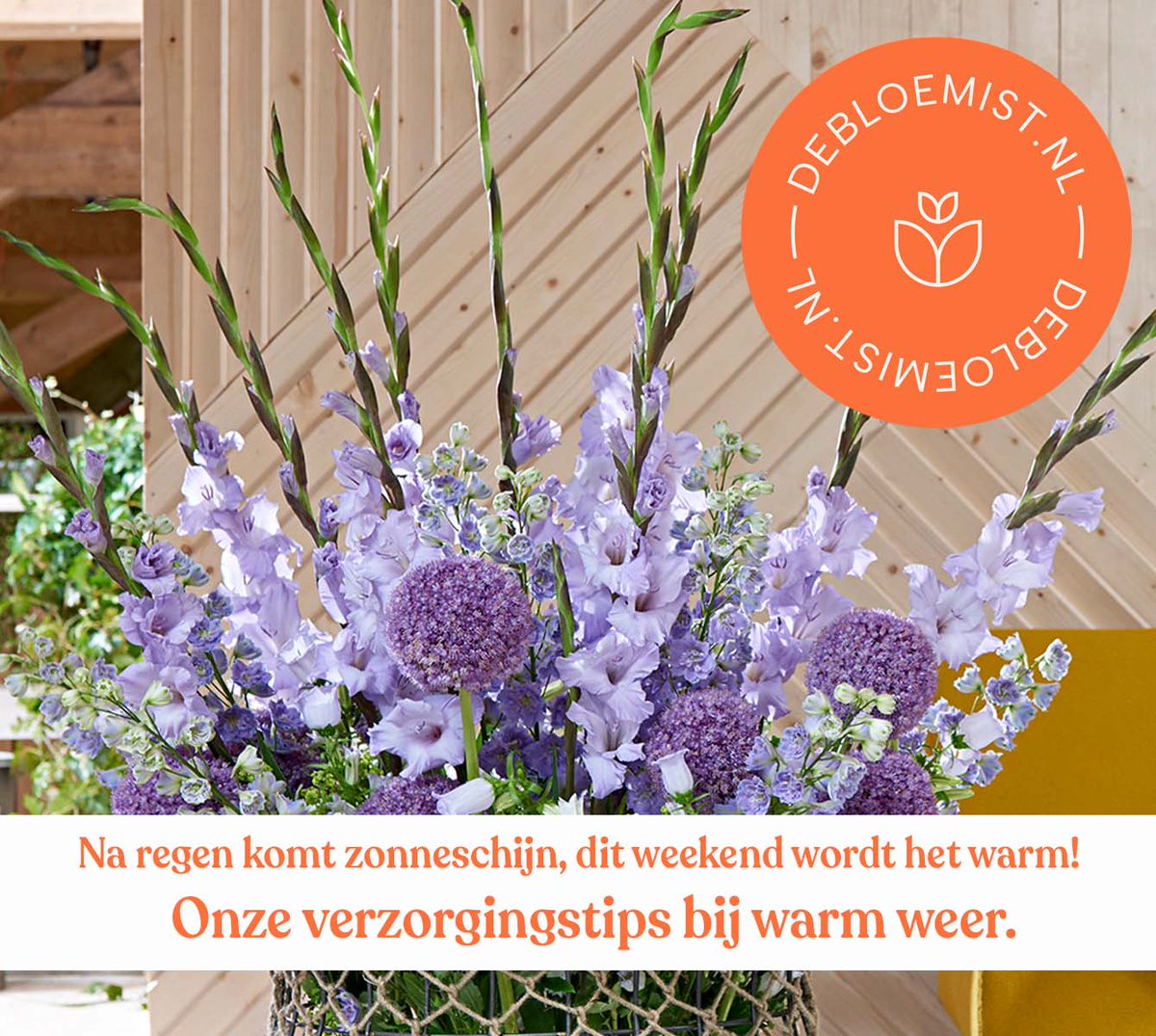 Hoe verzorg ik mijn bloemen als het warm is?

ow.ly/nsYx50P51zc