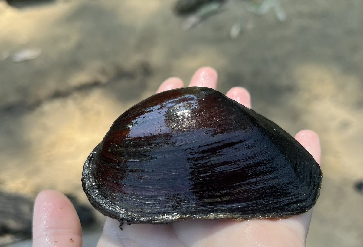 Caitlin Sweeney tweet media