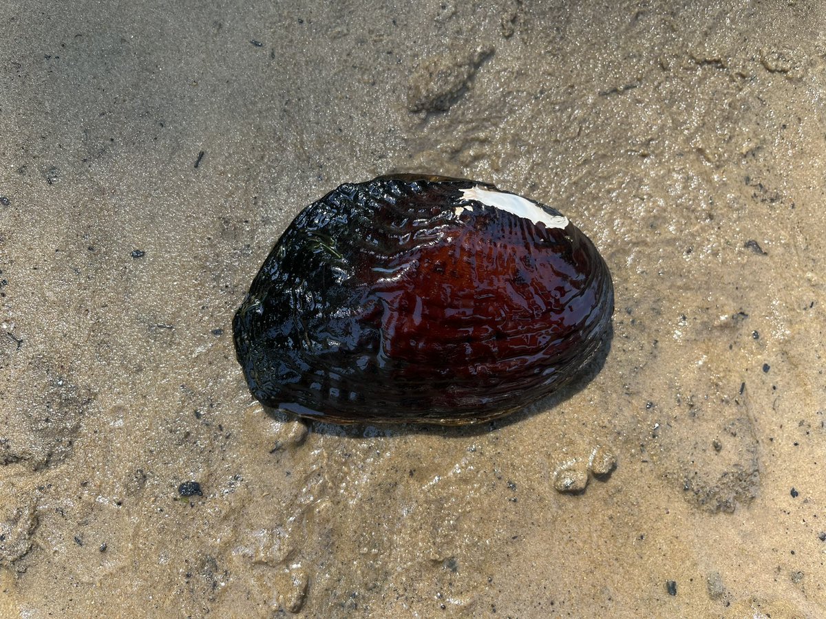 Caitlin Sweeney tweet media