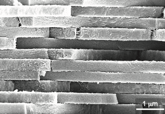 Pearls and seashells are made from the same basic stuff as easily crushed chalk, so why are they so much tougher? @ImperialCollege &amp; #ESATech researchers are taking design tips from these naturally formed materials to produce stronger space ceramics
esa.int/Enabling_Suppo…