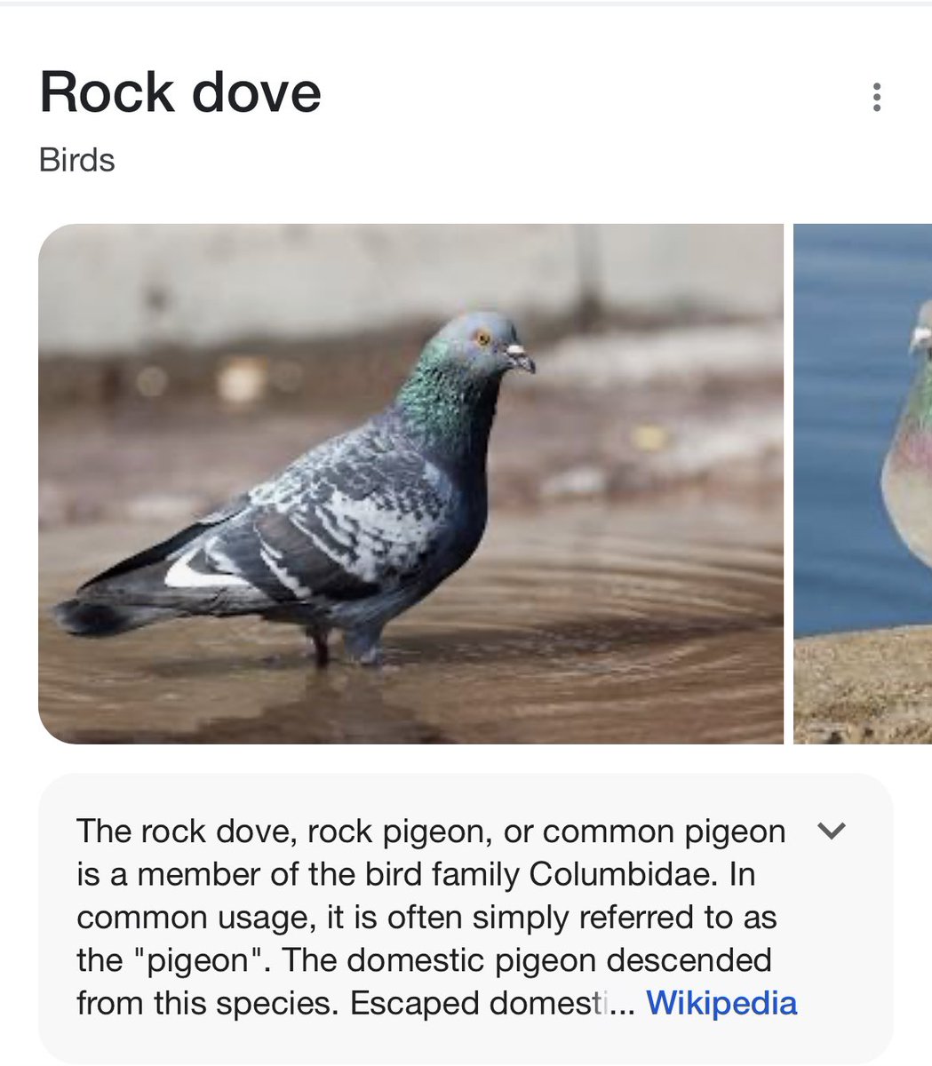 Melissa Williams tweet media