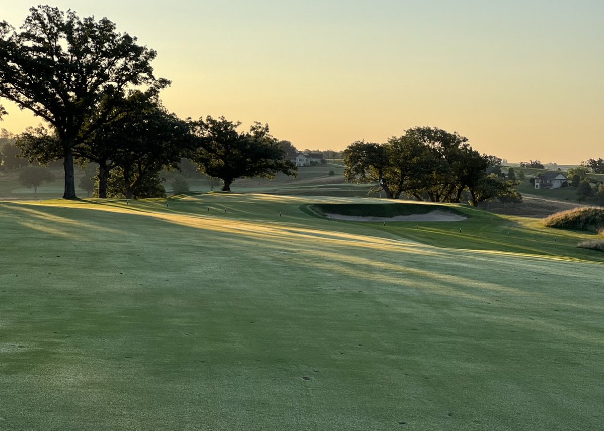 Rian Simpson tweet media